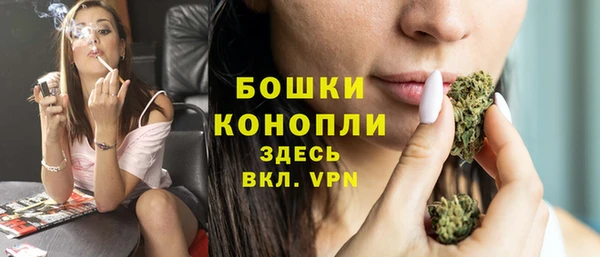 мдпв Михайлов