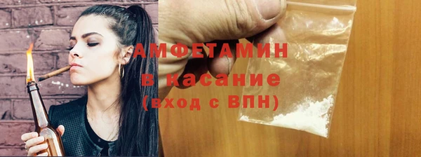 мдпв Михайлов