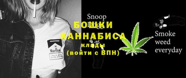 ПСИЛОЦИБИНОВЫЕ ГРИБЫ Михайловск