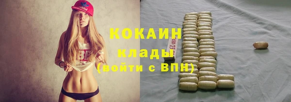 мдпв Михайлов