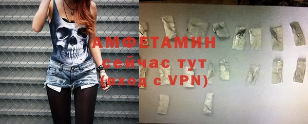 мдпв Михайлов