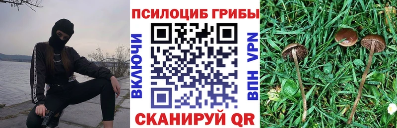 Галлюциногенные грибы мухоморы  где купить   Холм 